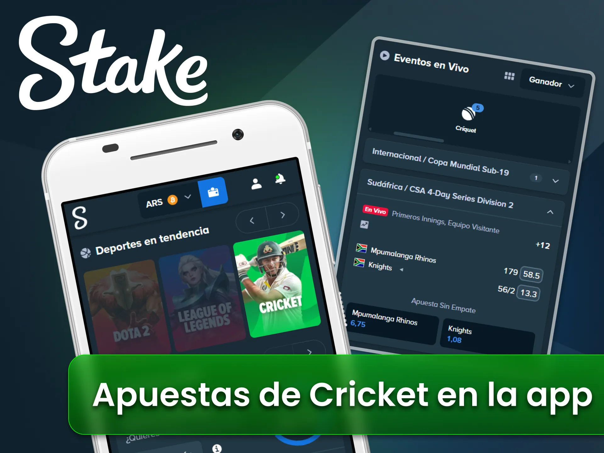 Apuesta al cricket desde la aplicación oficial Stake en Argentina.