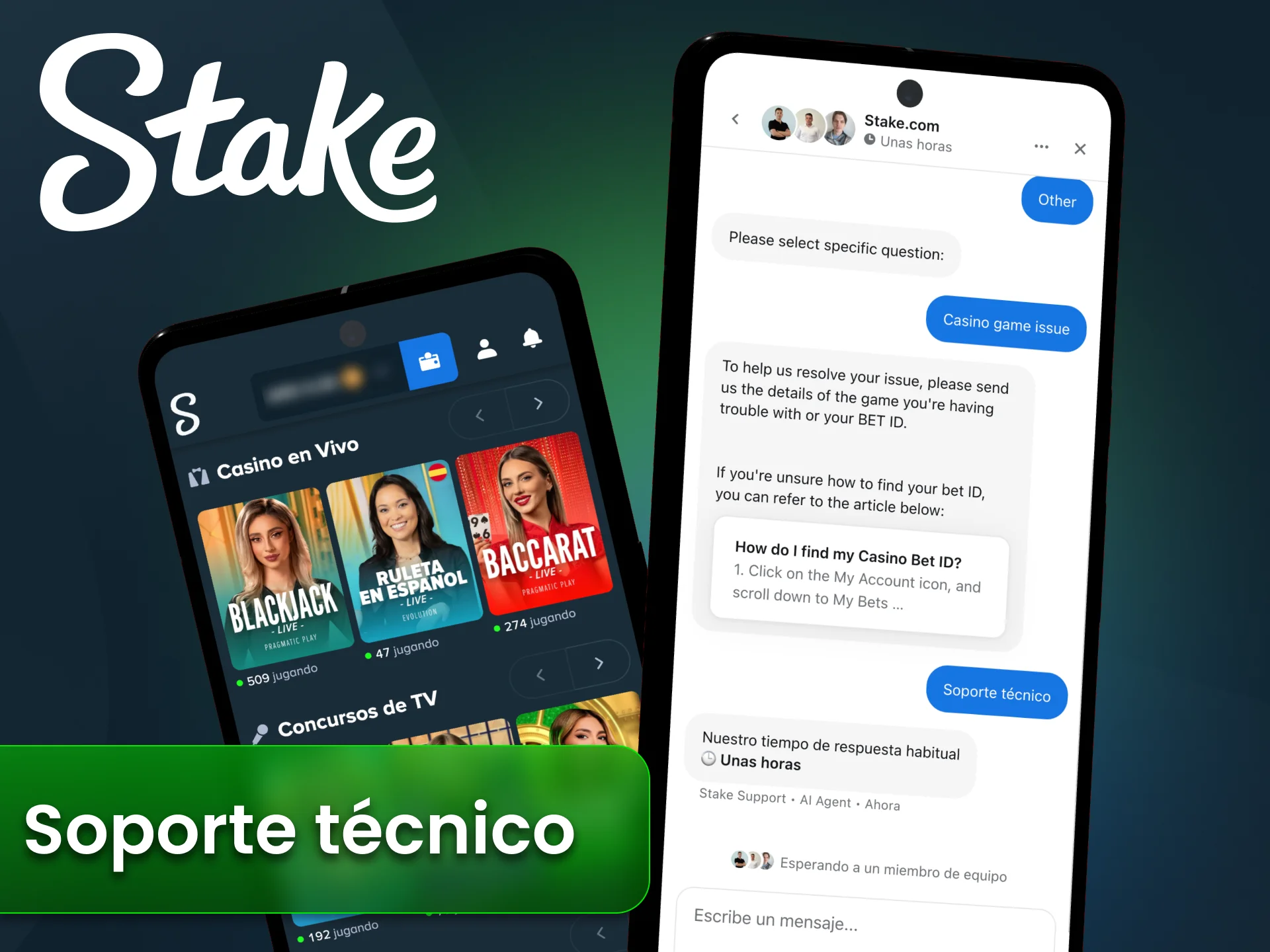 Contactá al soporte técnico de Stake para resolver errores de cuenta o juego.