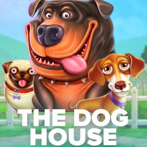 The Dog House Megaways es una tragaperras clásica sobre perros en Stake.