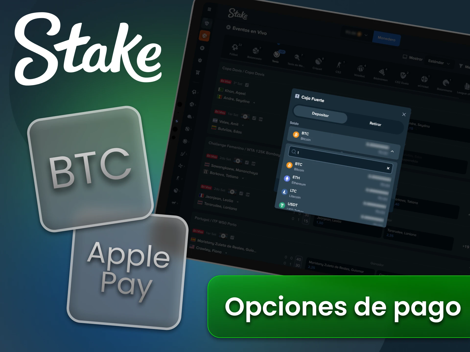 La plataforma Stake ofrece métodos de pago seguros.